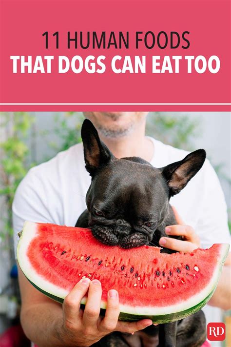 11 Human Foods That Dogs Can Eat Too In 2021 Human Food Best Dog