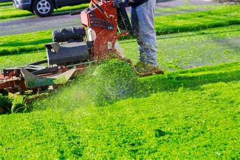 Best Lawn Care Services In Rochester Gorski Landscaping