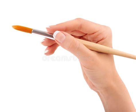 Female Hand Holding Paint Brush Isolated Stock Image Image Of Close