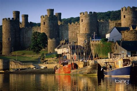 Bing cherry, a variety of cherry. Best of Bing Wallpaper ·① WallpaperTag