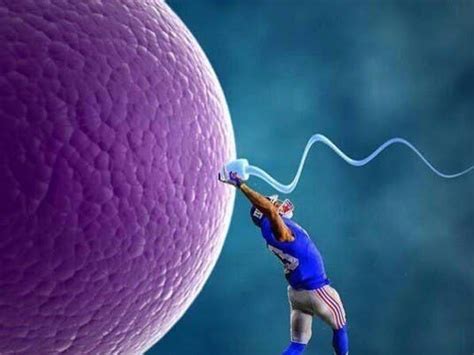 When should you take a lactaid pill? Here's What Happens If You Take The Morning-After Pill All ...