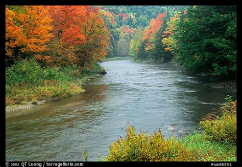 Picturephoto River With Trees In Autumn Color Vermont New England Usa