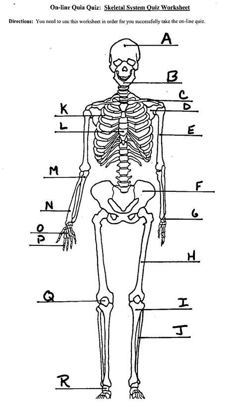 Neuromuscular junction labeling9p image quiz. Unlabeled Human Skeleton Diagram . Unlabeled Human ...