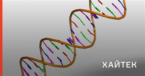 Новые динамические структуры хранят и извлекают информацию из ДНК