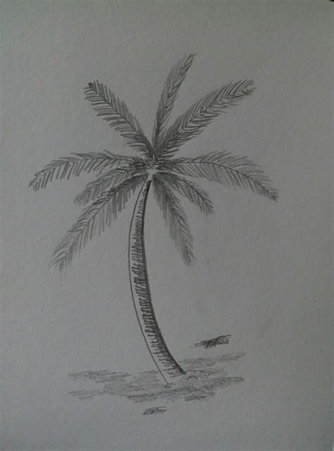 Maybe you would like to learn more about one of these? Top Gambar Sketsa Pohon Dan Burung | Sketsabaru