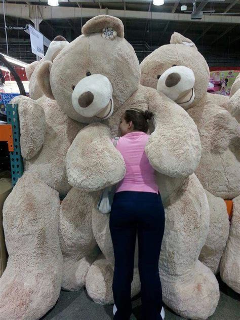 #big hug for you #andskjhdgj maybe i will finish my other fic one day #i just don't have time to write atm #anonymous #ask. hug !!! | Huge teddy bears, Giant teddy bear, Teddy bear
