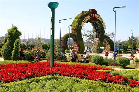 Best Time To Visit Dalat All Things You Should Know Tripjalan