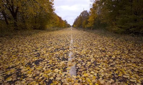 Wallpaper Road Fall Leaves Trees Outdoors 2048x1218