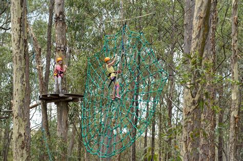 Treetops Newcastle Nsw Holidays And Accommodation Things To Do