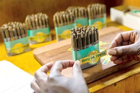 How Smugglers Are Getting Rich From Sa’s Current Cigarette Ban Za