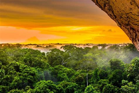 Amazon Rainforest Discovery Tour Trip Ways