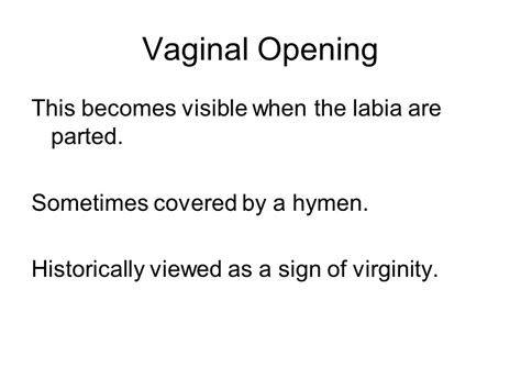 Female Reproductive System Ppt Video Online Download