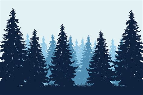 Vector Realistic Illustration Of Coniferous Forest With Grass Under