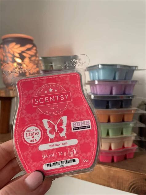 Scentsy 2023 Spring Summer Catalog Artofit