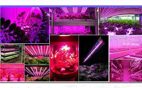 What is the led grow light out? Amazon.com : Vemico Led Strip Grow Lights, Waterproof ...