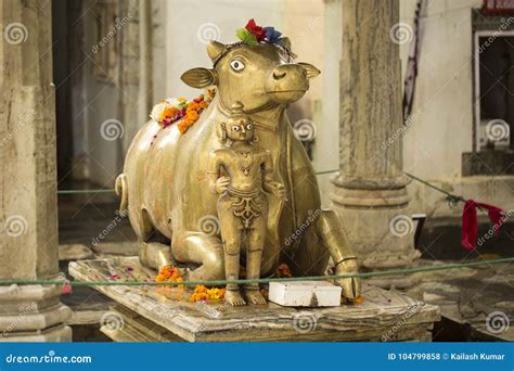 Statue Of Nandi Bull Stock Photo Image Of India Sacred 104799858