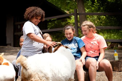 Looking For Summer Fun Oglebay Lists 2023 Good Zoo Summer Camp