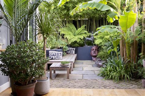 Small Jungle Garden Ideas Garden Design