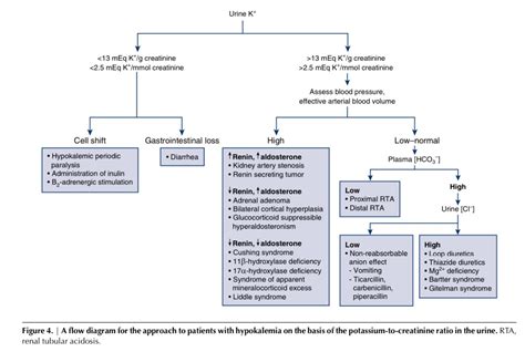 Algorithm For Patients With Hypokalemia On The Basis Grepmed
