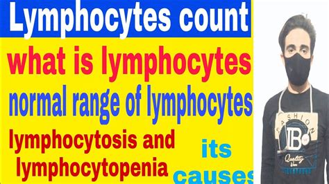 High And Low Lymphocytes In Blood Testnormal Range Of Lymphocytes
