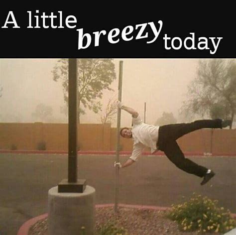 Посмотрите твиты по теме «#winddown» в твиттере. Windy day | Funny weather, Weather memes, Funny quotes