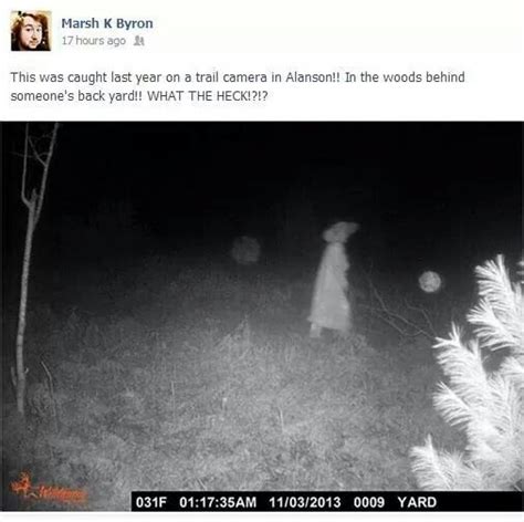 Spirit Caught On Trail Cam Notice The Orbs Paranormal Creepy