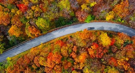 Fall Weather Driving Tips Plymouth Rock Assurance
