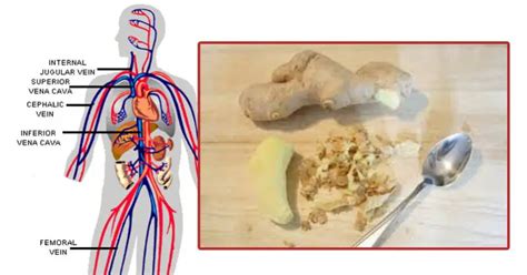 These Are The INCREDIBLE Things That Happen To Your Body When You Start Eating Ginger Every Day