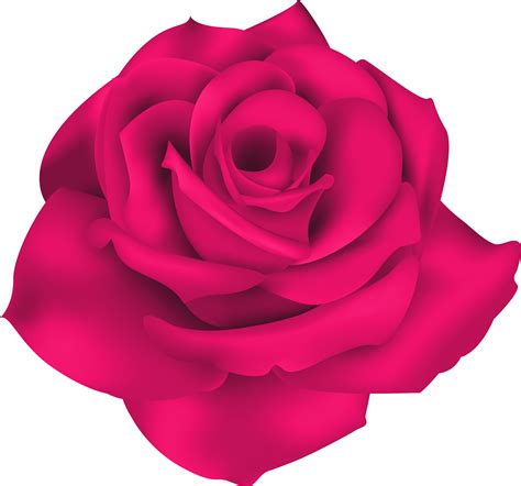 Single Pink Rose Clip Art 10 Free Cliparts Download Images On