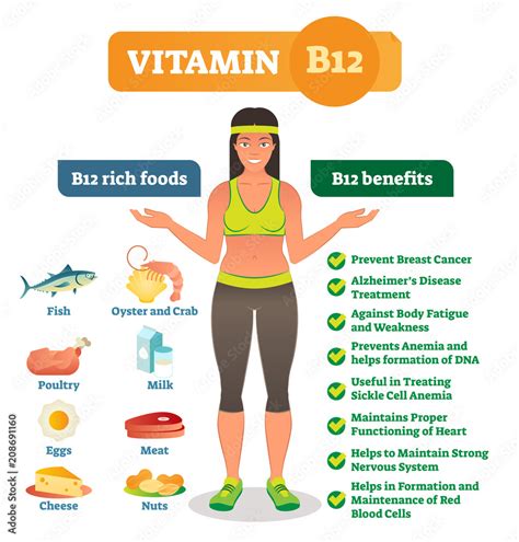 Vitamin B12 Rich Food Icons And Health Benefits List Healthy Lifestyle