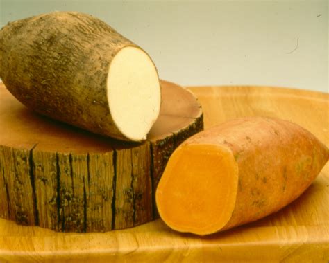 Compare potato to sweet potato by vitamins and minerals using the only readable nutrition comparison tool. Produce Confusion: Yam or Sweet Potato? Rutabaga or Turnip ...
