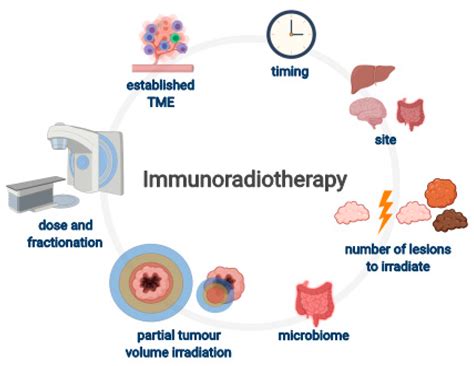 Cancers Free Full Text Challenges In Combining Immunotherapy With