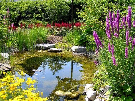 Check spelling or type a new query. Wasser im Garten - Hof & Garten