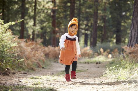 15155 Walking Alone Forest Photos Free And Royalty Free Stock Photos