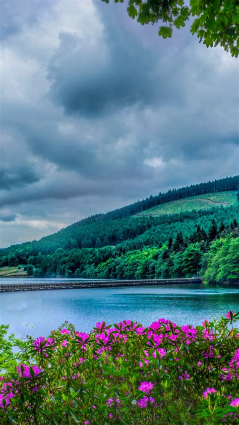 Penjualan aset (rumah, perumahan, ruko, tanah kavling lahan dll) 2. Black Cloudy Sky Above Pink Outdoor Flowers Beside River During Daytime 4K HD Nature Wallpapers ...