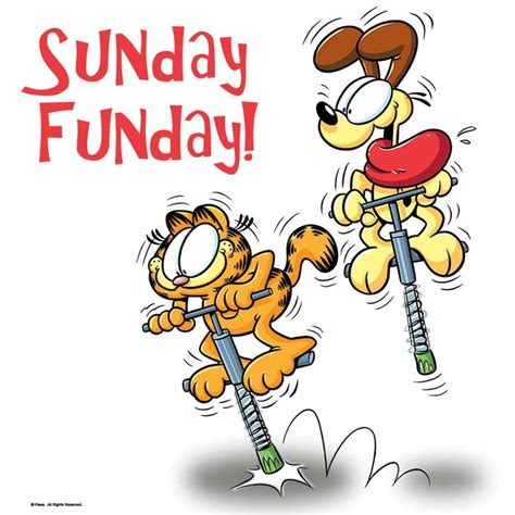 Sunday Funday Garfield Cartoon Garfield Garfield And Odie
