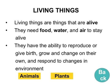 What is a living thing? - Quora