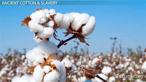 Cotton Textile Industry History Origin And Advances Video And Lesson