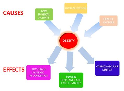 Causes And Effects Of Obesity Download Scientific Diagram