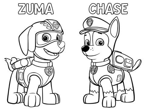 Paw Patrol Zuma Coloring Pages Coloring Pages
