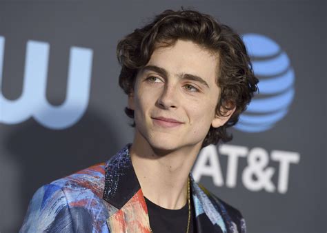 Many of the snl players have spun off successful independent comedy and/or movie careers from here. 'SNL' 2020 with host Timothée Chalamet: Free live stream ...