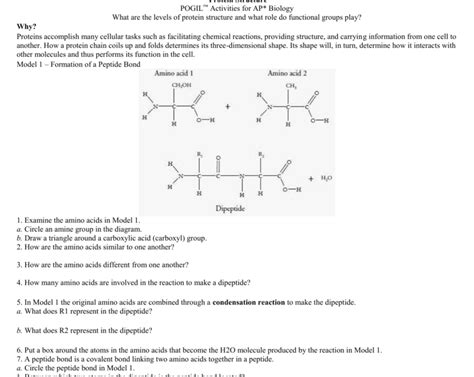 Cytoplasmic structures composed of rrna and proteins; Protein Structure Worksheet Answers