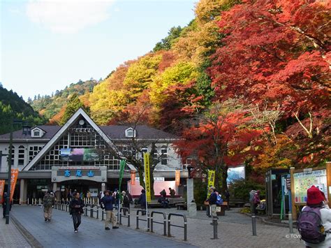 Outdoor Adventures in Tokyo’s Backyard: Okutama & Mt. Takao