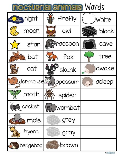 Free Printable Nocturnal Animals Worksheets