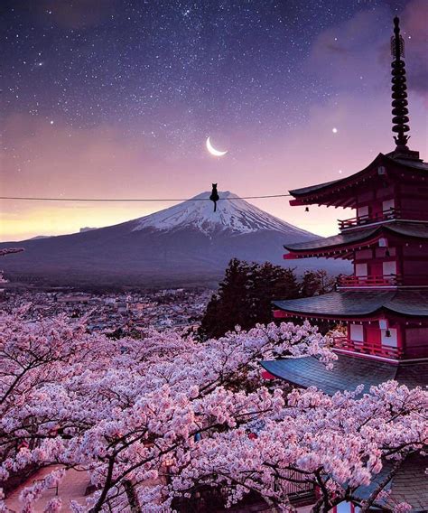 The Beauty Of Mt Fuji Japan Rpics