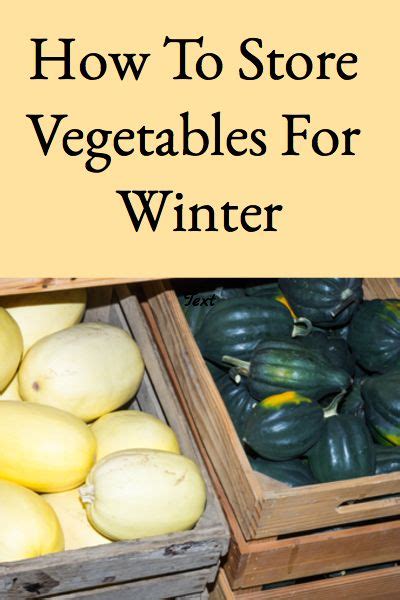Storing a car battery for winter. How To Store Vegetables For Winter | Storing vegetables ...