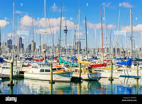 Skyline And Yachts At Westhaven Marina Auckland North Island New