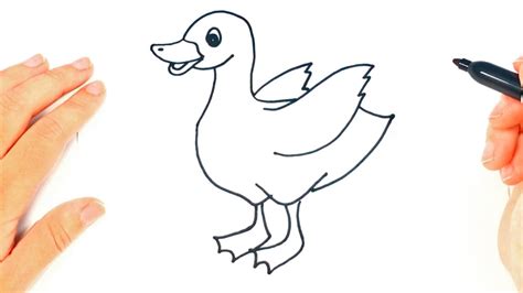 How To Draw A Duckling Step By Step Duckling Easy Drawing