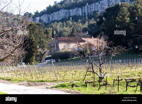 Clos Du Val Winery Hi Res Stock Photography And Images Alamy