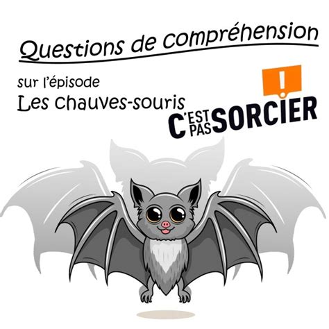 Les Chauves Souris Compr Hension